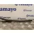 Brazo Limpia Delantero Derecho para Mercedes-Benz Clase Slk (W171) Roadster