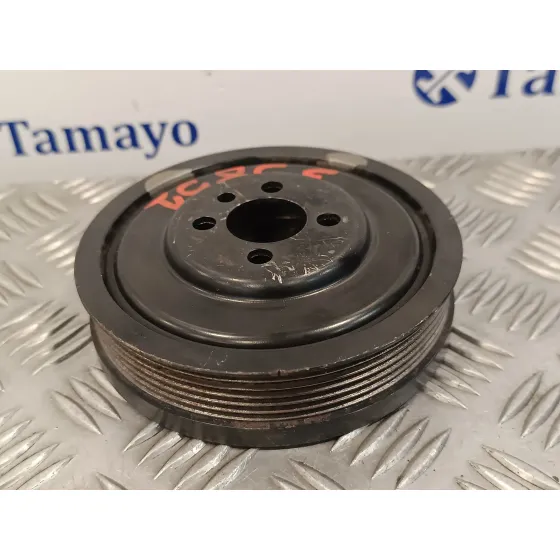 Polea Ciguenal para Volkswagen Passat Berlina (3C2)