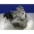 Caja Cambios para Mazda 6 Lim. (Gh)