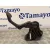 Pedal Embrague para Volkswagen Touran (1T1)