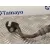 Tubo para Mercedes-Benz Clase Slk (W171) Roadster