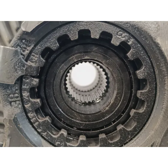 Diferencial Trasero para Nissan Terrano/Terrano.ii (R20)