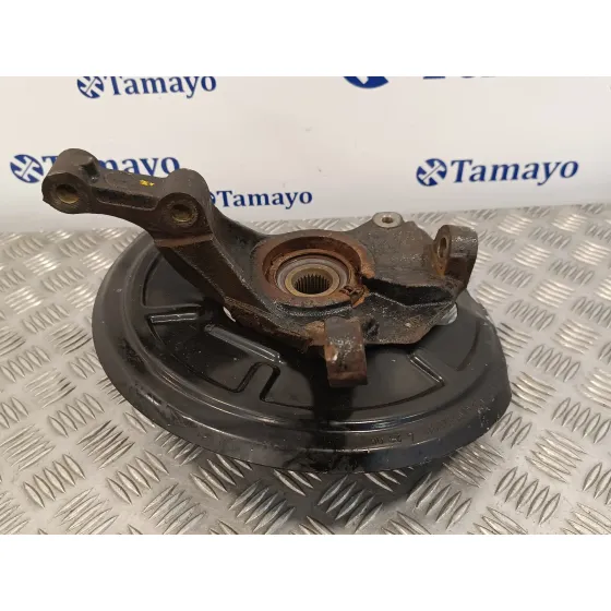 Mangueta Delantera Izquierda para Renault Vel Satis (Bj0)