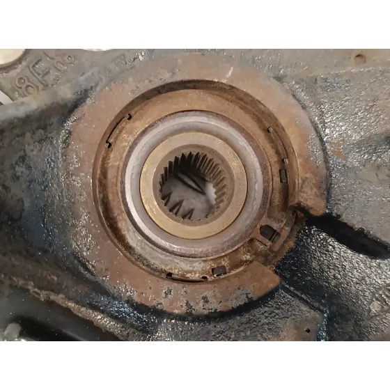 Mangueta Delantera Izquierda para Renault Vel Satis (Bj0)