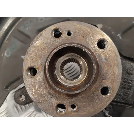 Mangueta Delantera Izquierda para Renault Vel Satis (Bj0)