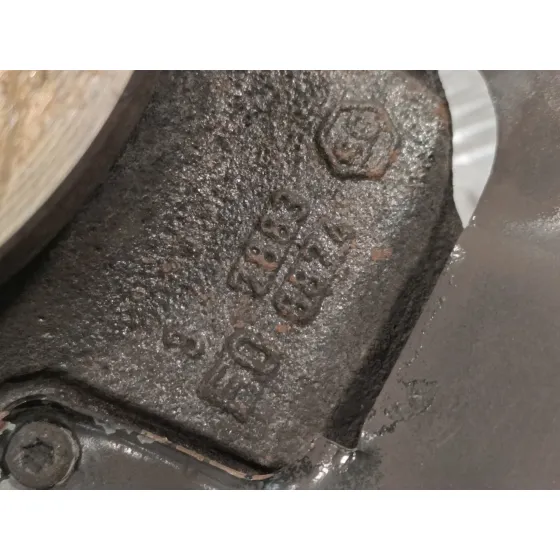Mangueta Delantera Izquierda para Renault Vel Satis (Bj0)