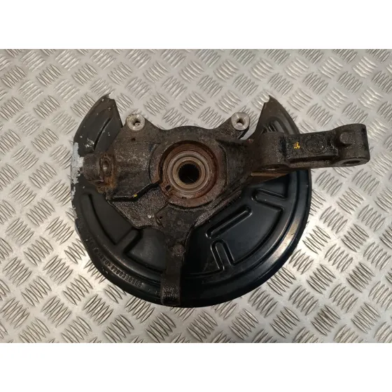 Mangueta Delantera Derecha para Renault Vel Satis (Bj0)