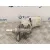 Bomba Freno para Peugeot Bipper