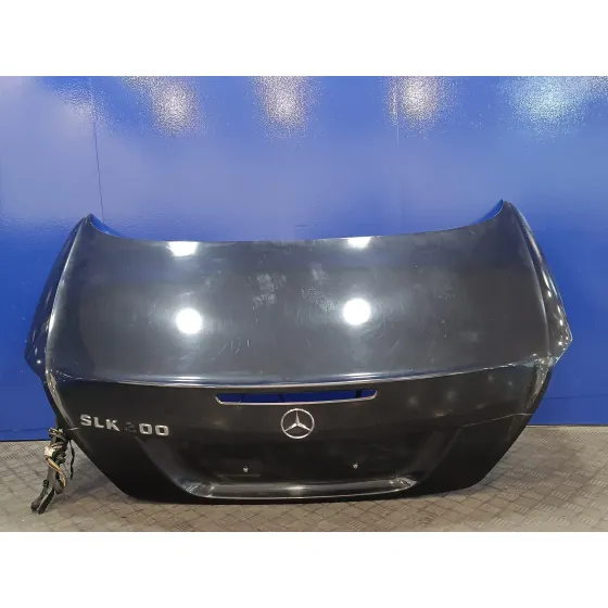Porton Trasero para Mercedes-Benz Clase Slk (W171) Roadster
