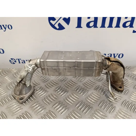 Enfriador Egr para Mazda 6 Lim. (Gh)