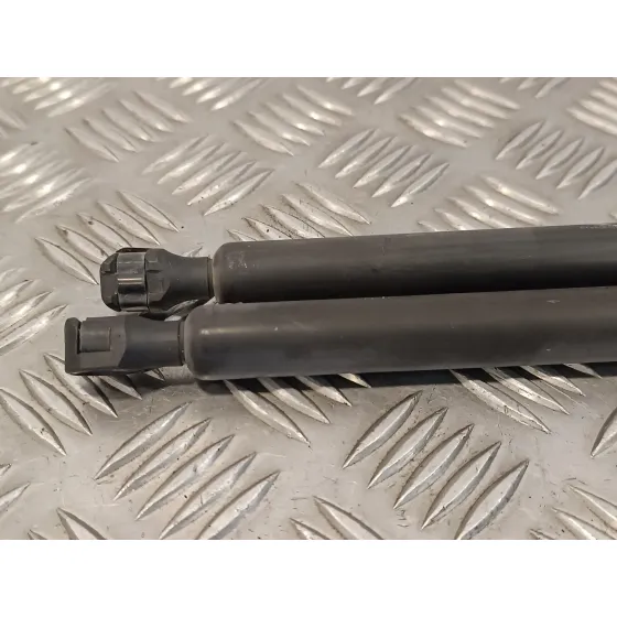 Amortiguadores Maletero / Porton para Fiat Scudo Combi (272)