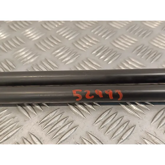 Amortiguadores Maletero / Porton para Fiat Scudo Combi (272)