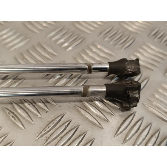 Amortiguadores Maletero / Porton para Fiat Scudo Combi (272)