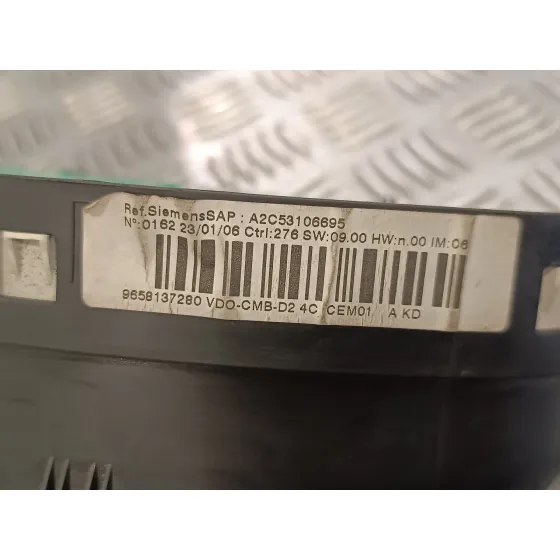 Cuadro Instrumentos para Peugeot 407