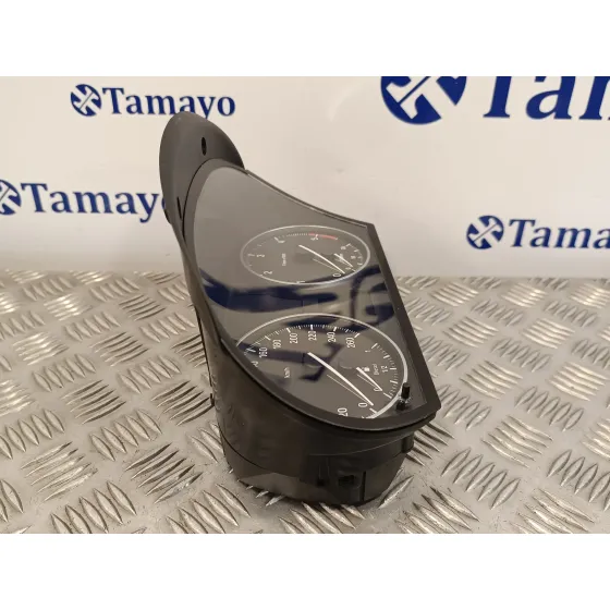 Cuadro Instrumentos para Bmw Serie 3 Touring (E91)