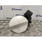 Tapa Exterior Combustible para Citroën Ds4