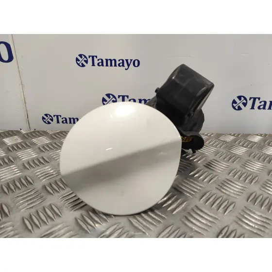 Tapa Exterior Combustible para Citroën Ds4