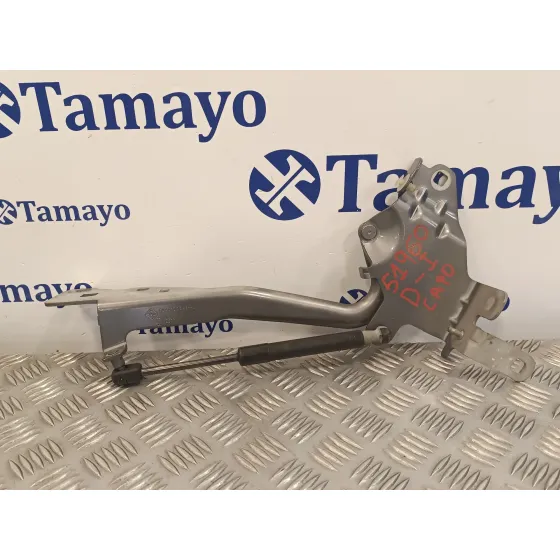 Visagra Capo para Renault Scenic Iii