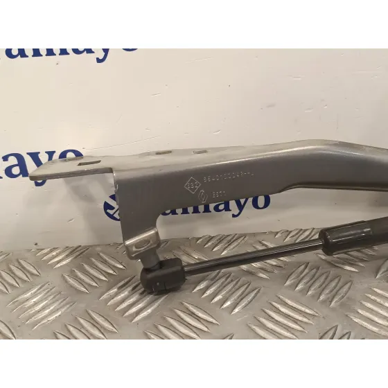 Visagra Capo para Renault Scenic Iii