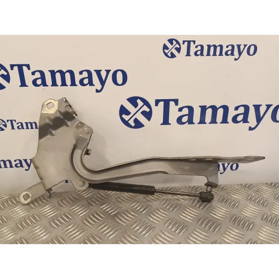 Visagra Capo para Renault Scenic Iii