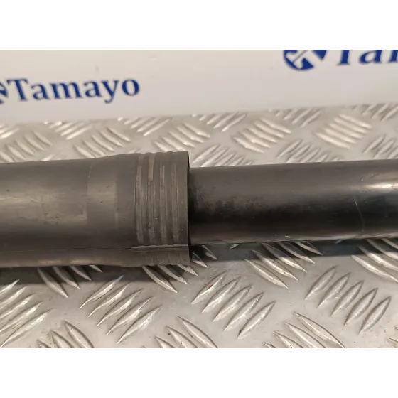 Amortiguador Trasero para Toyota Prius (Nhw30)
