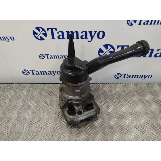 Bomba Direccion para Peugeot 308