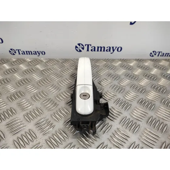 Maneta Exterior Delantera Izquierda para Ford Kuga (Cbv)