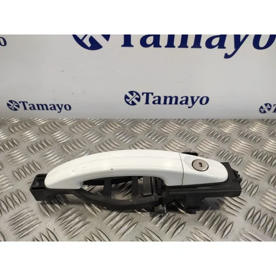 Maneta Exterior Delantera Izquierda para Ford Kuga (Cbv)
