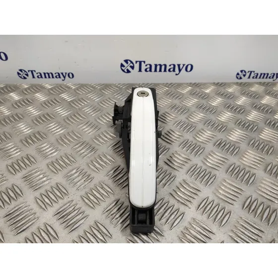 Maneta Exterior Delantera Izquierda para Ford Kuga (Cbv)