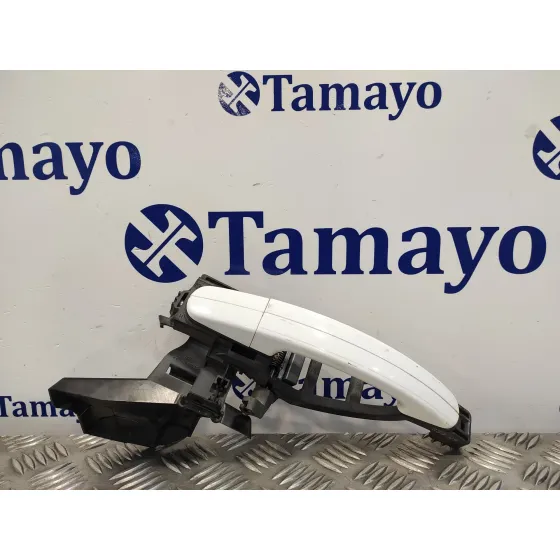 Maneta Exterior Trasera Izquierda para Ford Kuga (Cbv)