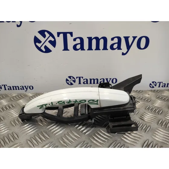 Maneta Exterior Trasera Izquierda para Ford Kuga (Cbv)
