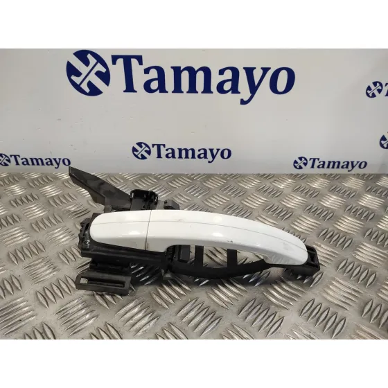 Maneta Exterior Trasera Derecha para Ford Kuga (Cbv)