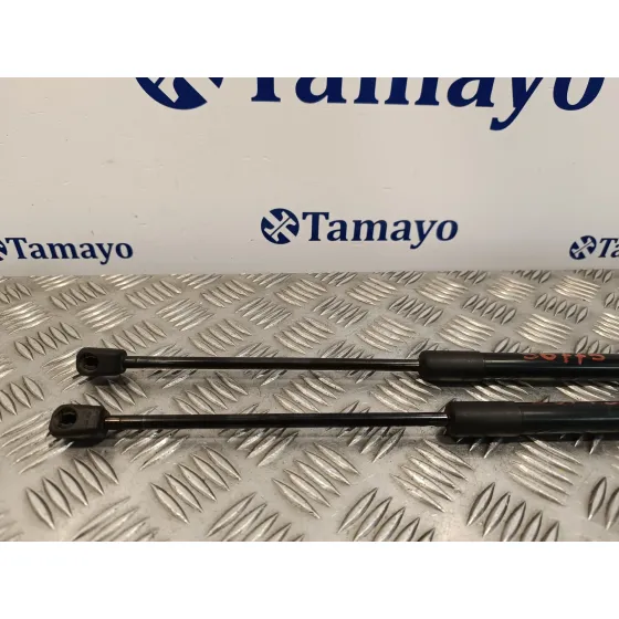 Amortiguadores Maletero / Porton para Ford Kuga (Cbv)