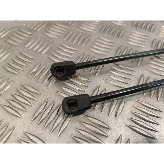 Amortiguadores Maletero / Porton para Ford Kuga (Cbv)