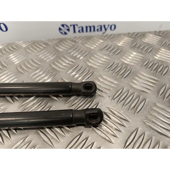 Amortiguadores Maletero / Porton para Ford Kuga (Cbv)