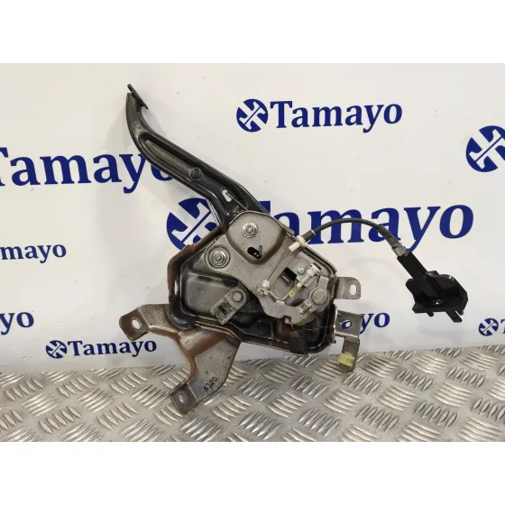 Pedal Embrague para Kia Carnival