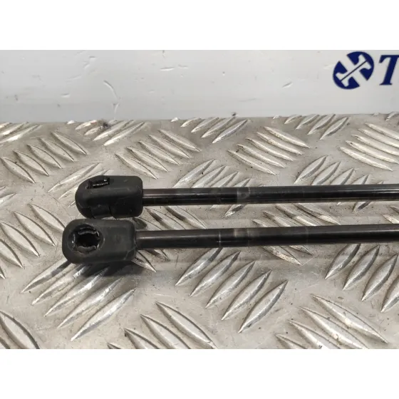 Amortiguadores Maletero / Porton para Ford Kuga (Cbv)