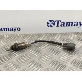 Sonda Lambda para Lexus Gs (Gs/Us/Ws19)