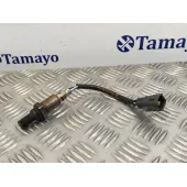 Sonda Lambda para Lexus Gs (Gs/Us/Ws19)