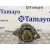 Alternador para Mazda Cx-7 (Er)
