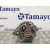 Alternador para Mazda Cx-7 (Er)