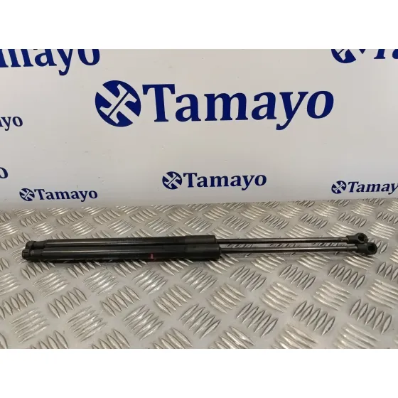 Amortiguadores Maletero / Porton para Bmw Serie 1 Lim F21