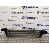 Intercooler para Renault Vel Satis (Bj0)