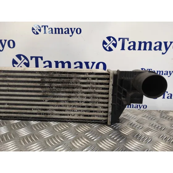 Intercooler para Renault Vel Satis (Bj0)