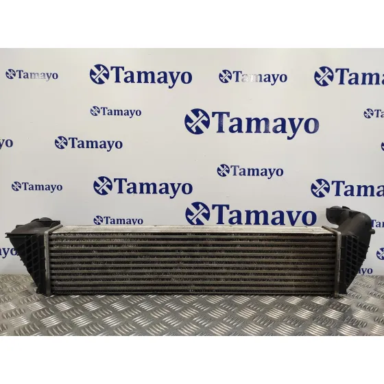 Intercooler para Renault Vel Satis (Bj0)