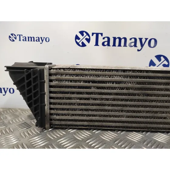Intercooler para Renault Vel Satis (Bj0)