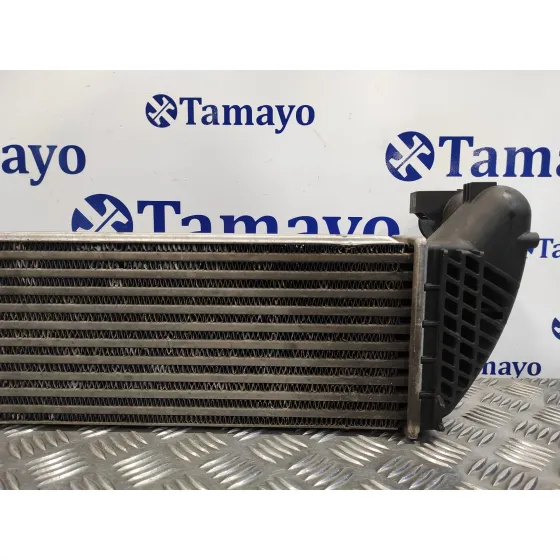 Intercooler para Renault Vel Satis (Bj0)