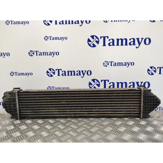 Intercooler para Ford Kuga (Cbv)