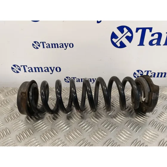 Muelle Amortiguacion para Bmw Serie 3 Berlina (E90)