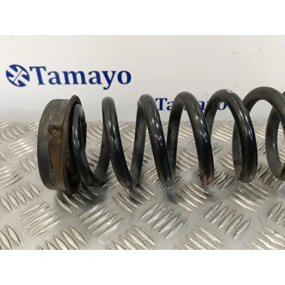 Muelle Amortiguacion para Bmw Serie 3 Berlina (E90)